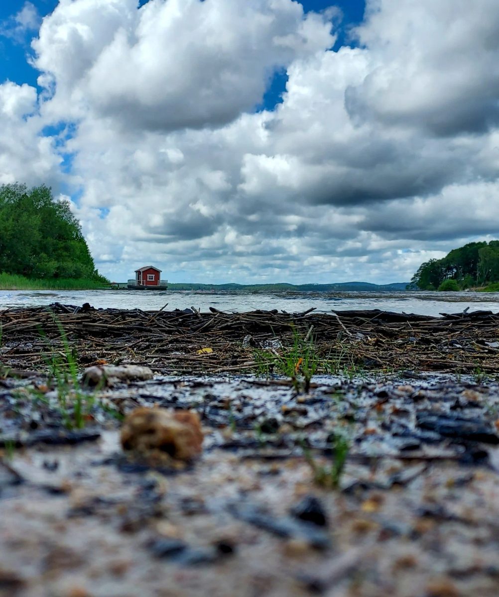 The ultimate Nordic vibe: a tiny red cabin by the water.