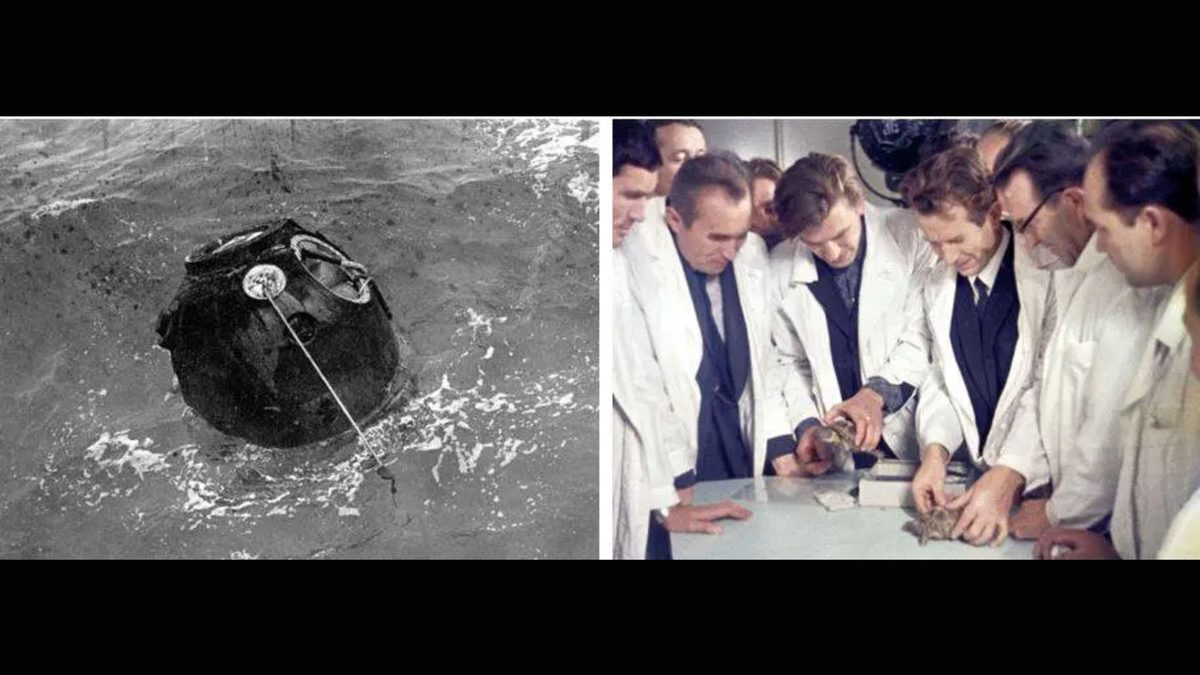 On this day in space! Sept. 15, 1968: Russian tortoises (& other critters) launch around the moon on Zond 5 spacecraft…