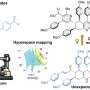 Robots and AI uncover unexpected pathway in classic 135-year-old chemical reaction
