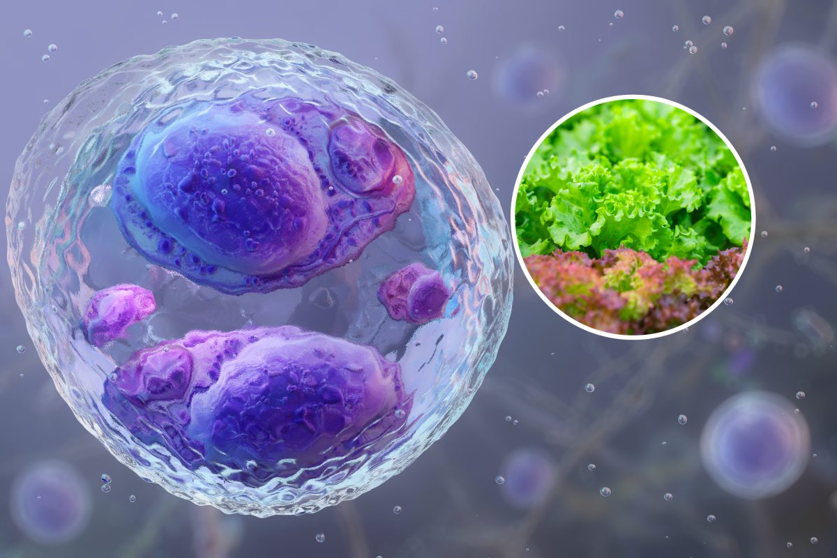 Cyclospora Outbreak Is Ending, Here's What That Means for Unresolved Cases