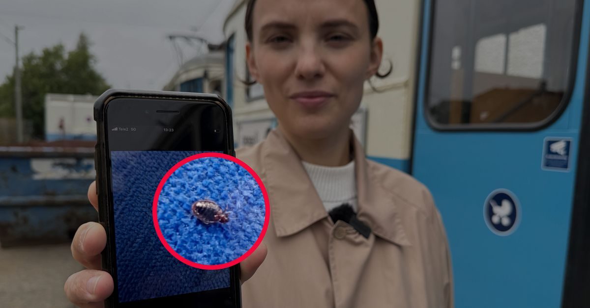 Bild på vägglus sprider oro bland resenärer i Göteborg