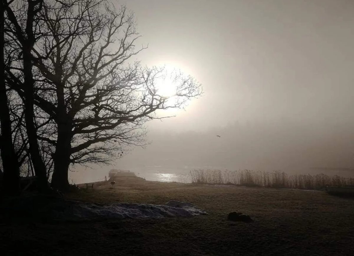 Even through the thickest fog, the sun finds a way. ☀️"#hopeful #sunray #foggy sunrise #morninglight #natureheals