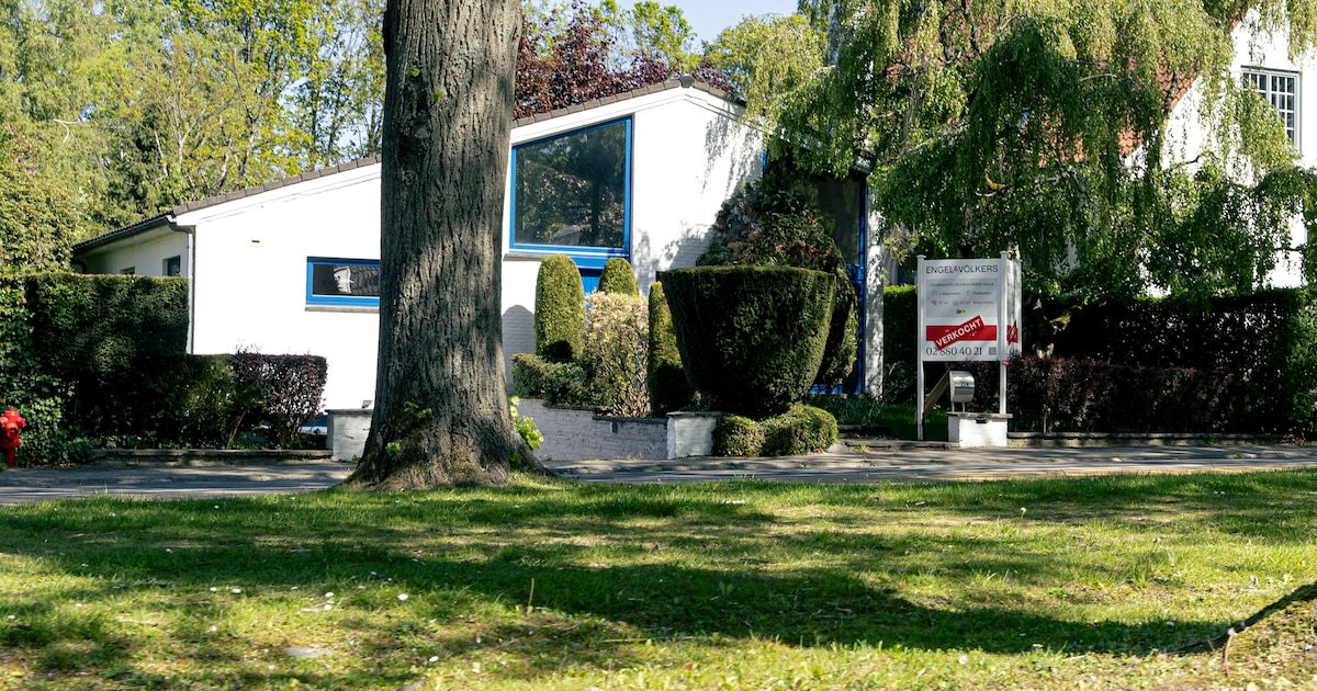 L’impact de la hausse des taux pour votre portefeuille ? “Dans l’immobilier, on perd vite 30 000 à 40 000 euros de pouv…
