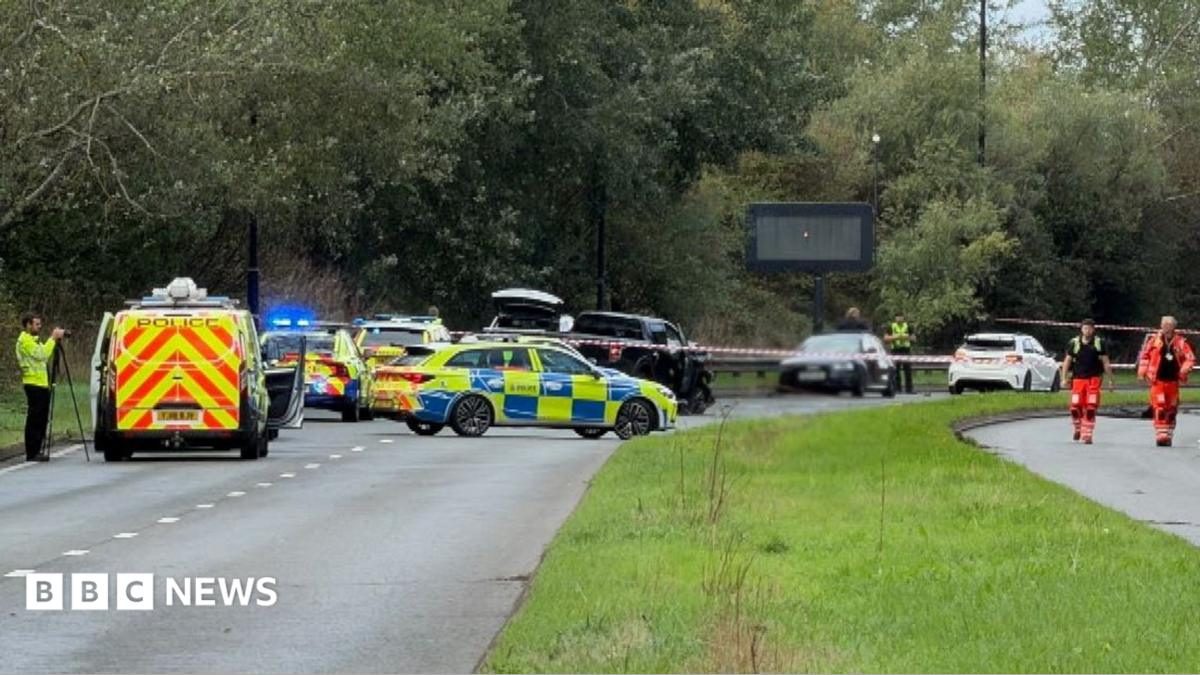 Two dead after car hits group of pedestrians