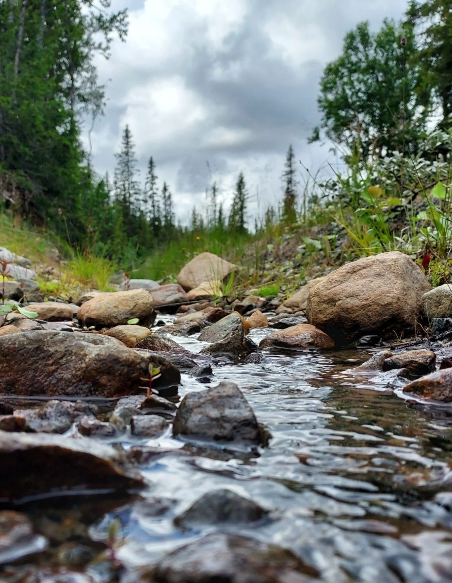 Just the sound of rushing water and wind in the trees. Pure bliss from the archives