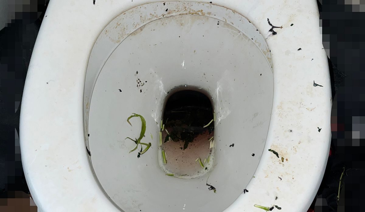 Mannen fikk sjokk og sluttet på dagen