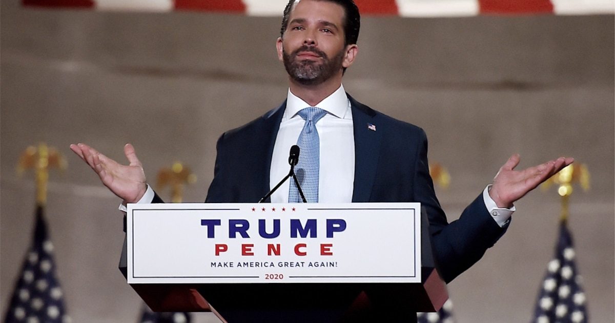 Après les révélations sur le mariage du fils de Donald Trump, un démocrate s’inquiète d’une “ingérence étrangère éventu…