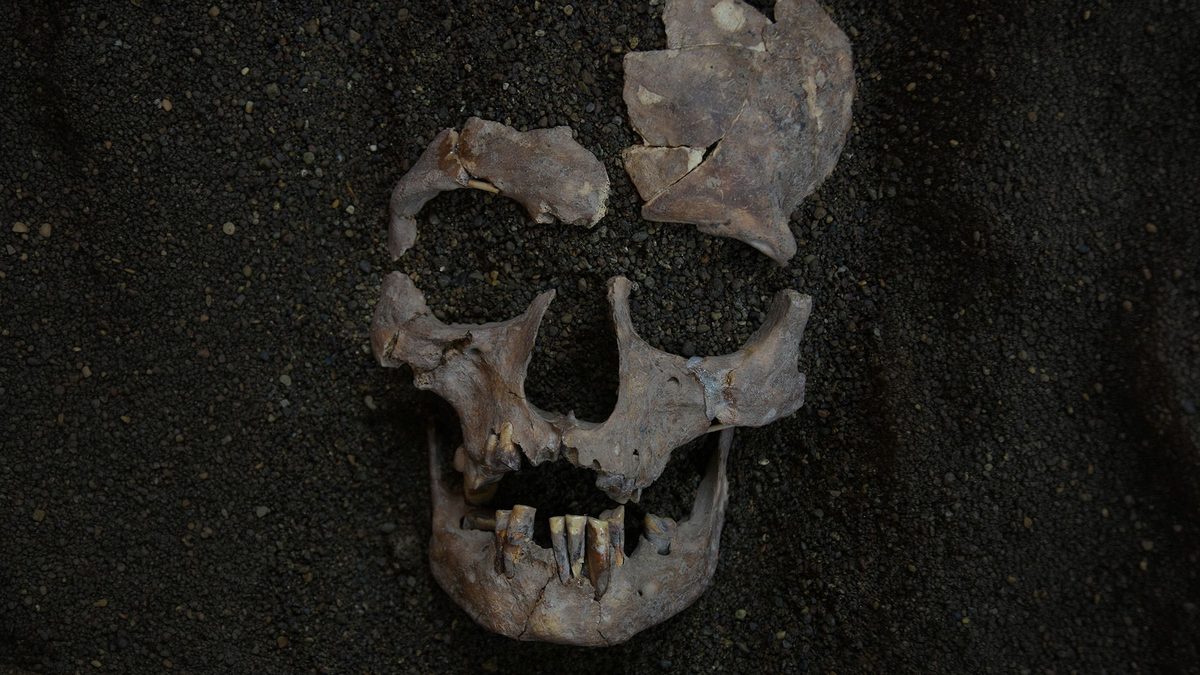 World's oldest evidence of habitual drug use traced back 25,000 years to Indonesia