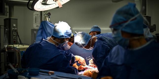 Dons d’organes : le Comité d’éthique appelle à repenser le système et ouvre la voie aux xénogreffes