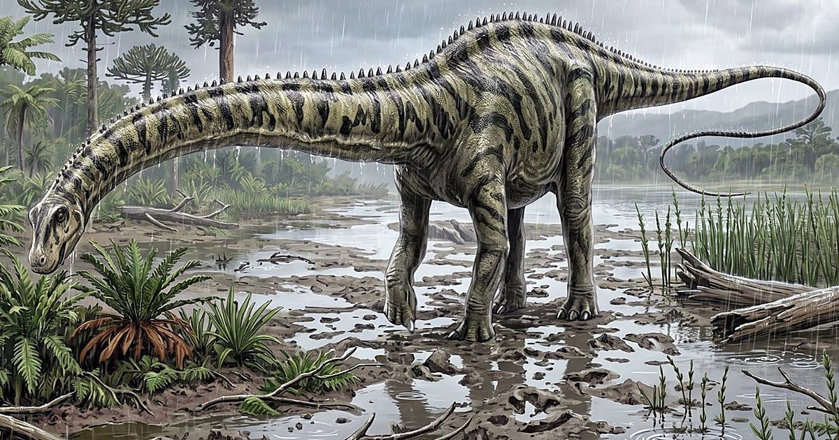 Hallado en Teruel el primer diplodocus fuera de Norteamérica