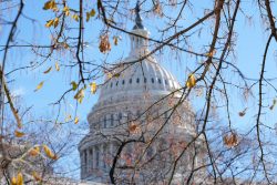 Congress Takes Up Tech Industry's Apocalyptic Visions