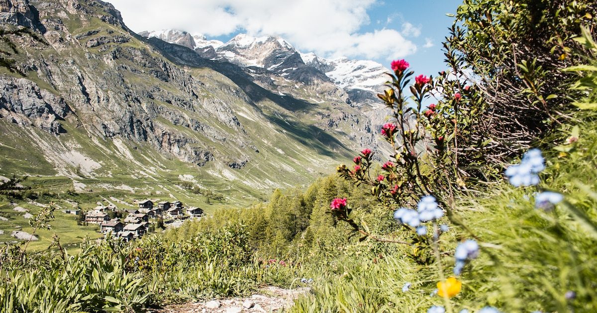 Randonner à Val d'Isère : des promenades familiales aux itinéraires de haute montagne