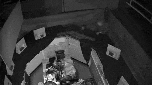 CCTV·사설경비 뚫고 1분30초만에 5억대 귀금속 절도