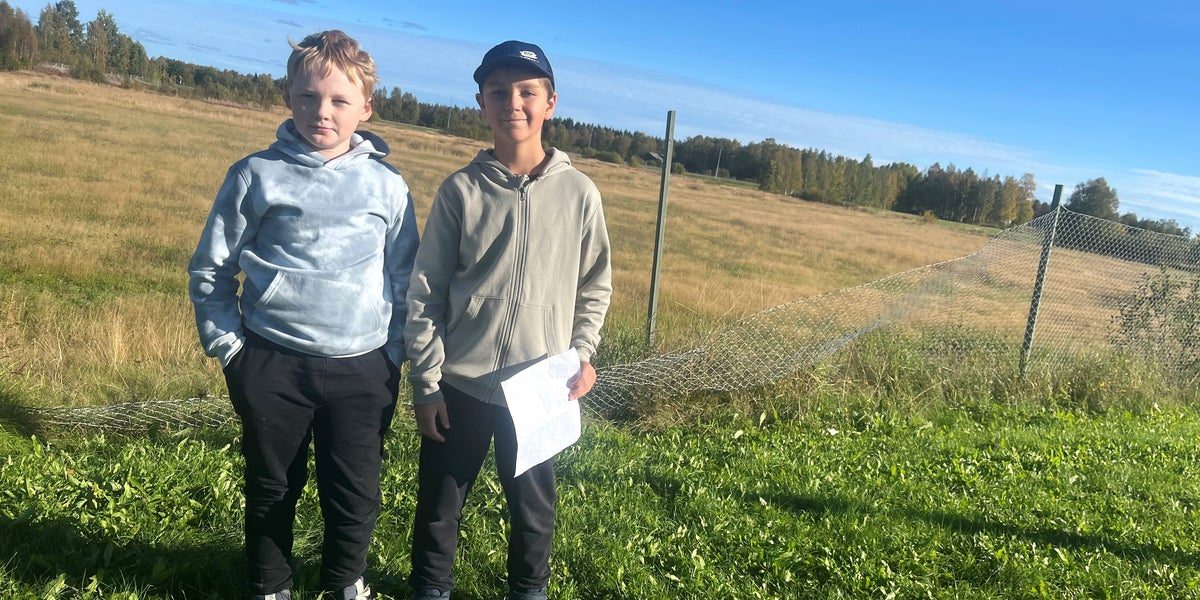 Tioåringarnas kamp mot handelsområdet: ”Rör inte våran äng”