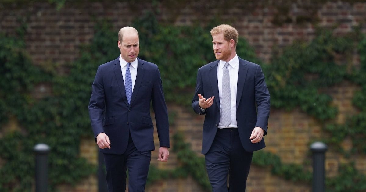 Adelsexpertin erklärt: Prinz Harry und Prinz William führen einen „sehr, sehr kalten Krieg“