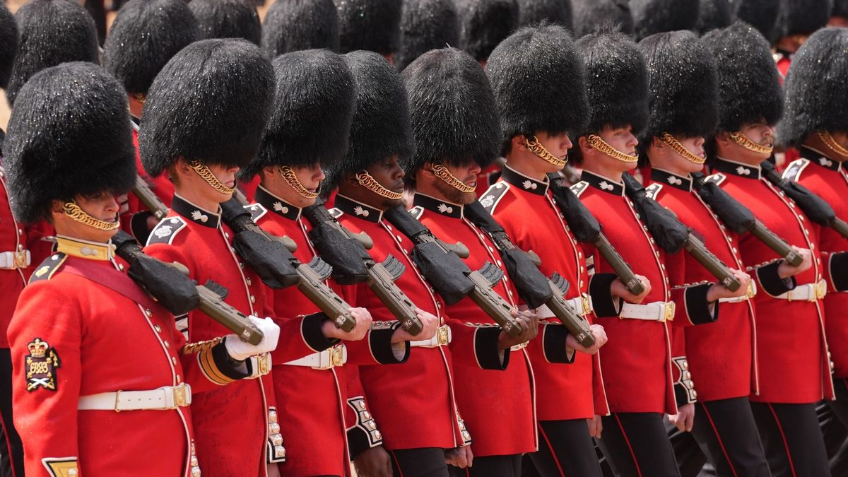 Bearskin caps worn by King's Guards should be replaced with fake fur alternative, MPs say