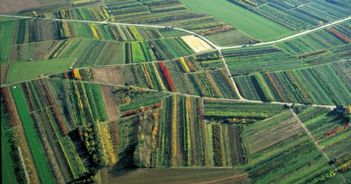 Un week-end au cœur des pépinières de Lesdain, ces 19 et 20 septembre 2026
